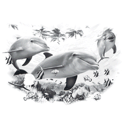 DOLPHIN FRIENDS 14732SA6.gif